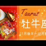 おうし座♉️2021年11月後半〜12月前半🌝これが最後、目覚めのとき、長く続く土台