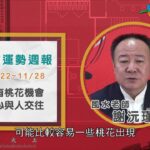 11/22-11/28｜鼠 牛 虎 ｜2021風水生肖運勢週報