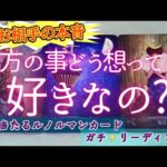 気になるお相手さんは貴方の事好きなの？嫌いなの？どっちなの？！あの人の本音を探ってみた！！恋愛タロットオラクルカード鑑定🔮✨よく当たるルノルマンカードで細密リーディング