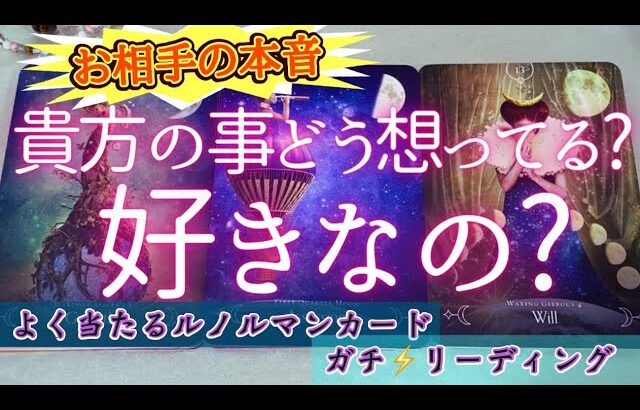 気になるお相手さんは貴方の事好きなの？嫌いなの？どっちなの？！あの人の本音を探ってみた！！恋愛タロットオラクルカード鑑定🔮✨よく当たるルノルマンカードで細密リーディング