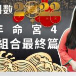 紫微斗數-2022 紫微斗数流年命宮4「星曜組合」完結篇 Zi Wei Dou Shu is a branch of Chinese Astrology.
