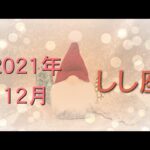 2021年12月の運勢〜獅子座🦁〜