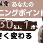 【四柱推命：節木運】人生の転機はいつ？30年に一度の人生のターニングポイント・運勢を読む方法