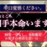 【激辛🍷覚悟】お相手は今、本命いますか？❤️忖度一切なし🤔今後の流れは？🕊【シビア本格鑑定】‥結果ハッキリ伝えます【徹底リーディング】個人鑑定レベルで、気持ち