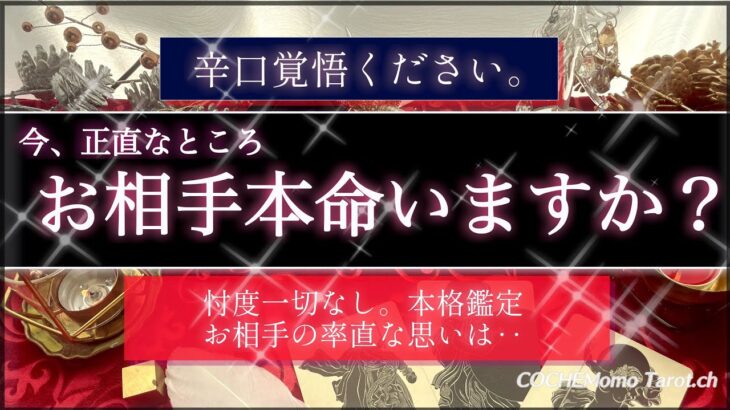 【激辛🍷覚悟】お相手は今、本命いますか？❤️忖度一切なし🤔今後の流れは？🕊【シビア本格鑑定】‥結果ハッキリ伝えます【徹底リーディング】個人鑑定レベルで、気持ち