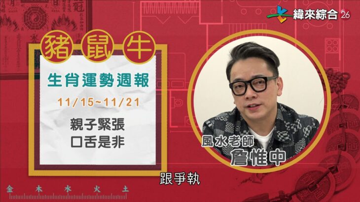 11/15-11/21 ｜豬 鼠 牛 ｜2021風水生肖運勢週報