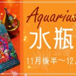 みずがめ座♒️2021月11月後半〜12月前半🌝受け取る贈り物、旅に出る、最後の一滴