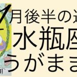 #星座別#タロット占い#水瓶座【11月後半の運勢】みずがめ座　思うがままの方向に進んで！超細密✨怖いほど当たるかも知れない😇