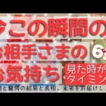 【思わずもらい泣き。感動と衝撃の真相】驚きの展開と驚愕の本音でした。今この瞬間のお相手様のお気持ち。タロットルノルマンオラクルカードで深堀細密リーディング🌸🌰