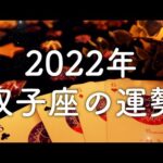 【2022年の運勢】双子座のあなたに起こること🌟怖いほど当たる😳💭💭恋愛・仕事・人間関係🌟タロット占い&オラクルカードリーディング🔮