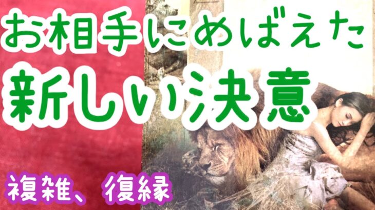 素敵な決意でした💗今お相手に芽生えた新しい決意✨近いお二人の未来💗複雑、復縁、社内、音信不通、遠距離恋愛タロット占い🔮当たるかもしれないカードリーディング