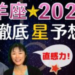 【2022年 山羊座】の運勢と傾向 ★ 今年、【直感】を、必ず使ってください !!!