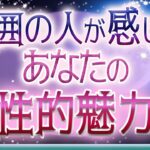 💜本格タロット恋愛💜深堀💕💓周囲の人が感じるあなたの性的魅力💙オラクル