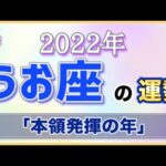 本領発揮の1年！2022年うお座の運勢はどうなる？【魚座 占い】