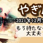 【やぎ座♑️2021年12月全体運】🔮タロット占い🔮〜もう待たなくても大丈夫ですよ✨〜