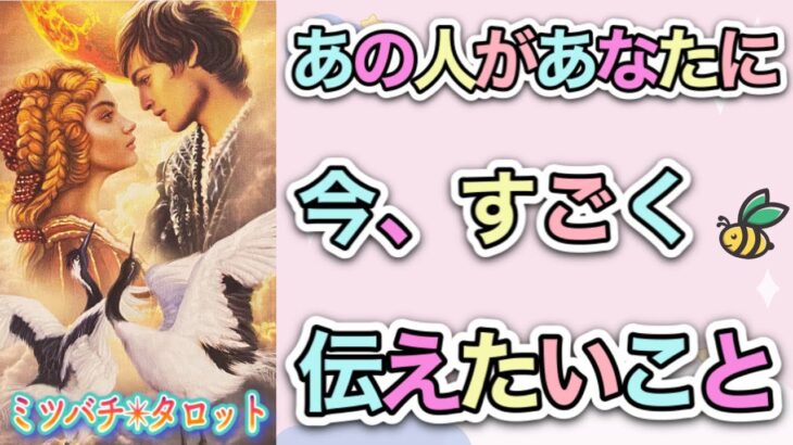 【恋愛タロット】❤️‍🔥あの人はあなたに、今すごく伝えたいこと❤️‍🔥怖いほど当たる⁉︎🥺【恋愛】【透視】【当たる】タロット占い&オラクルカードリーディング