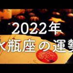 【2022年の運勢】水瓶座のあなたに起こること🌟怖いほど当たる😳💭💭恋愛・仕事・人間関係🌟タロット占い&オラクルカードリーディング🔮