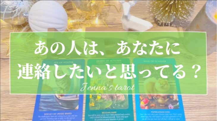 怖いくらい当たる🥺✨辛口あり⚠️【恋愛💕】あの人はあなたに連絡したいと思ってる？連絡くれる？【タロット🌟オラクルカード】片思い・復縁・復活・音信不通・複雑な恋・疎遠・ブロック・あの人の気持ち