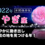 やぎ座さんへ☆星からのメッセージ【2022年保存版】