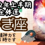 【やぎ座♑️2022年上半期全体運】🔮タロット占い🔮〜精神力を養って、心地よさを手に入れましょう✨〜