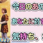 【恋愛タロット】❤️今日のあの人の、あなたに対する気持ち、本音❤️ガチで当たる⁉︎🤭【恋愛】【透視】【当たる】タロット占い&オラクルカードリーディング