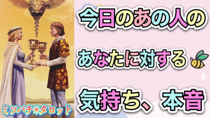 【恋愛タロット】❤️今日のあの人の、あなたに対する気持ち、本音❤️ガチで当たる⁉︎🤭【恋愛】【透視】【当たる】タロット占い&オラクルカードリーディング