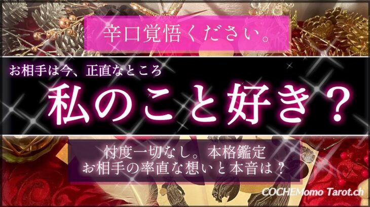 【激辛🍷覚悟】お相手は今、私のこと好き？❤️忖度一切なし🤔今の正直な想いは？🕊【本格鑑定】‥結果ハッキリ伝えます【徹底リーディング】個人鑑定レベルで、気持ち