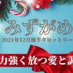 【みずがめ座】12月後半！自分責めの必要は皆無！全てを富と平和へ導ける力強い存在！