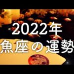 【2022年の運勢】魚座のあなたに起こること🌟怖いほど当たる😳💭💭恋愛・仕事・人間関係🌟タロット占い&オラクルカードリーディング🔮