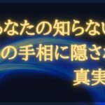 あなたの知らない左手の手相に隠された真実