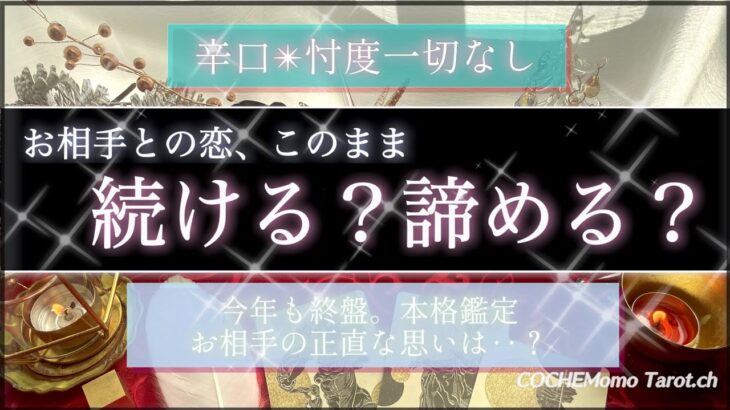 【激辛🍷覚悟】この恋、続ける？諦める？❤️忖度一切なし🤔近未来の展開は？🕊【本格鑑定】‥結果ハッキリ伝えます【徹底リーディング】個人鑑定レベルで、気持ち