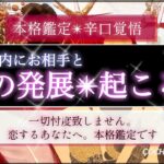 １ヶ月以内❗️【辛口🍷覚悟】お相手と恋の発展ある？❤️忖度一切なし🤔今後の流れは？🕊【本格鑑定】‥結果ハッキリ伝えます【徹底リーディング】個人鑑定レベル