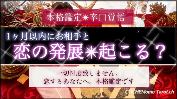 １ヶ月以内❗️【辛口🍷覚悟】お相手と恋の発展ある？❤️忖度一切なし🤔今後の流れは？🕊【本格鑑定】‥結果ハッキリ伝えます【徹底リーディング】個人鑑定レベル