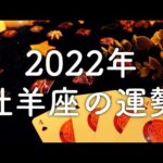 【2022年の運勢】牡羊座のあなたに起こること🌟怖いほど当たる😳💭💭恋愛・仕事・人間関係🌟タロット占い&オラクルカードリーディング🔮