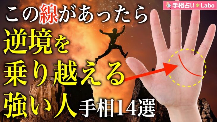 【手相占い】逆境を乗り越える強い人の手相14選