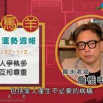 2021/12/27-2022/01/02｜蛇 馬 羊｜風水生肖運勢週報