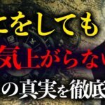 300人の家を鑑定して分かった！風水を取り入れて効果があった人となかった人の違い