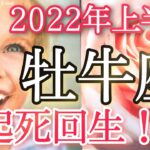 【牡牛座】★2022年上半期★～起死回生！守られてるからやってみよう～【恐ろしいほど当たるルノルマンカード＆アストロダイスリーディング】