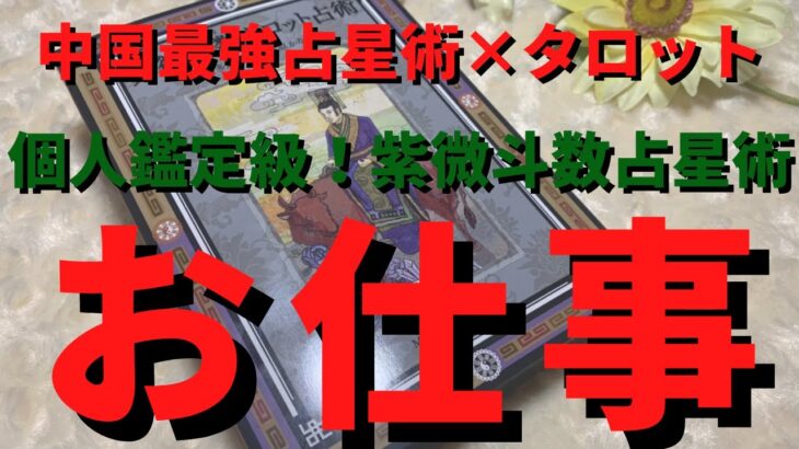 【お仕事細密鑑定】あなたのお仕事について👩‍⚕️👩‍🏫👩‍✈️👨‍🚀紫微斗数×タロット占い