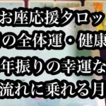 165年ぶりの幸運な1年、流れに乗れる月。うお座さん2月の全体運・健康運。 Get on the flow. Pisces February overall luck and health luck.