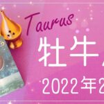 【おうし座】2022年2月運勢♉️困難の終わり、新しい始まり、悲しみとのお別れ