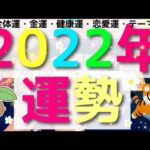 【新年🐯】2022年の運勢。大展開を迎えます💥現状から細かい未来まで。 #あんまろ掘り ルノルマンタロットオラクルカードで細密深掘りリーディング🌸🌰