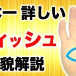 【手相】フィッシュを日本一詳しく解説！魚紋手相９選