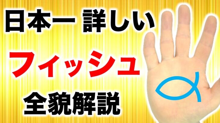 【手相】フィッシュを日本一詳しく解説！魚紋手相９選