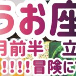 2022年 うお座    2月前半   オラクル  リーディング   涙💎💫 冒険に出る❣️