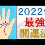 【手相 占い】2022年最強手相開運法！水森太陽が教えます！