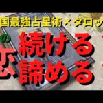 【恋愛💗】この恋♥️続ける❓諦める❓ 紫微斗数×タロット #個人鑑定級 #紫微斗数 #カードリーディング