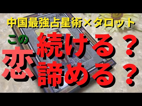 【恋愛💗】この恋♥️続ける❓諦める❓ 紫微斗数×タロット #個人鑑定級 #紫微斗数 #カードリーディング