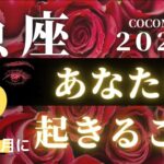 魚座♓️ 【２月、あなたに起きること🌈】２０２２　ココママの怖いほど当たる個人鑑定級、月間タロット占い🔮ラッキーカラー＆ラッキーDOING、高次元からのメッセージ付き🔮