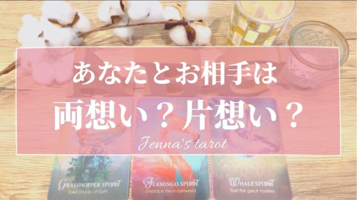 ハッキリお伝えします‼️【恋愛💕】あなたとお相手は…両想い？片想い？【タロット🌟オラクルカード】片思い・復縁・音信不通・冷却期間・疎遠・複雑な恋・あの人の気持ち・本音